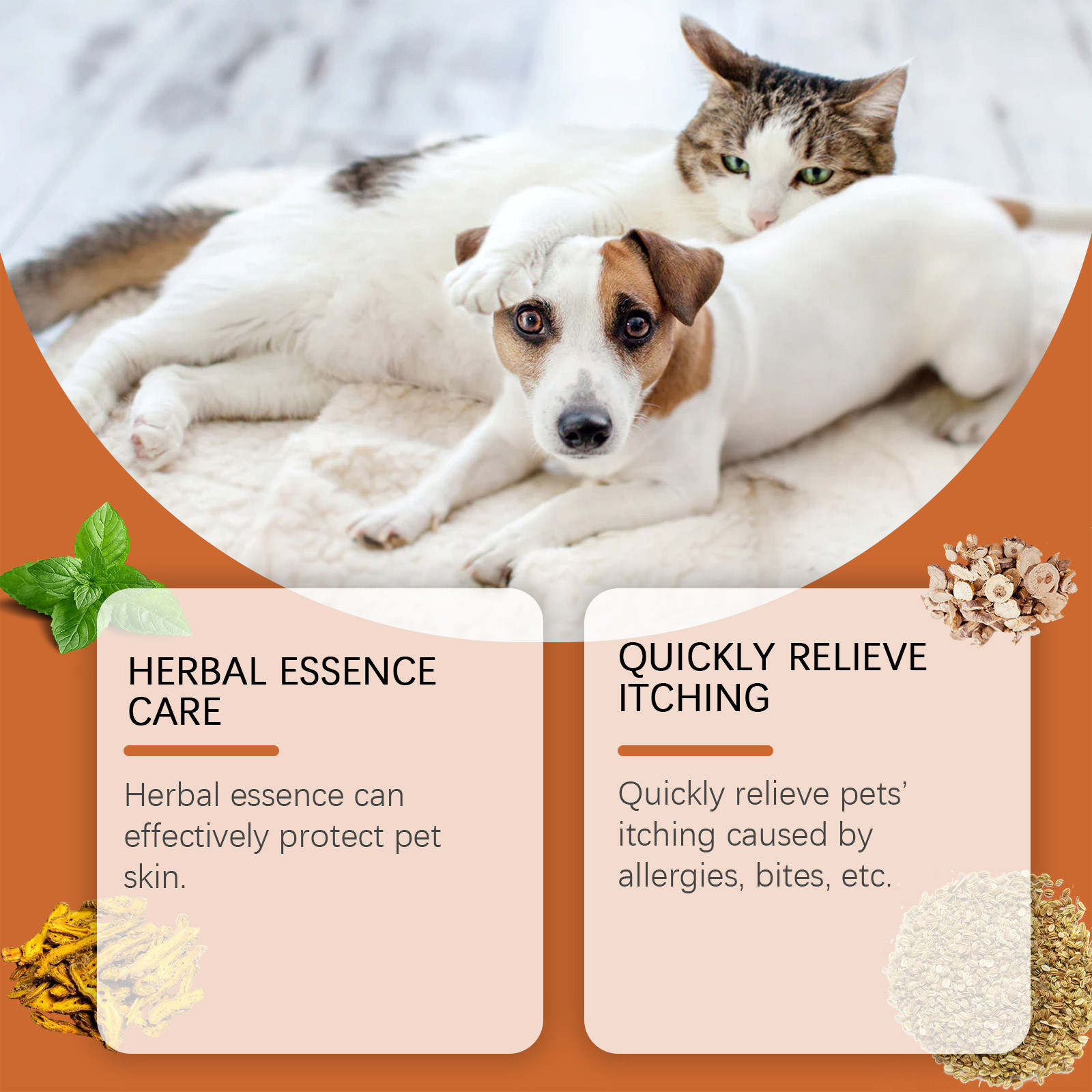 New Pet Antiprurito Crema Anti - Skincare Animate recensione e prezzo