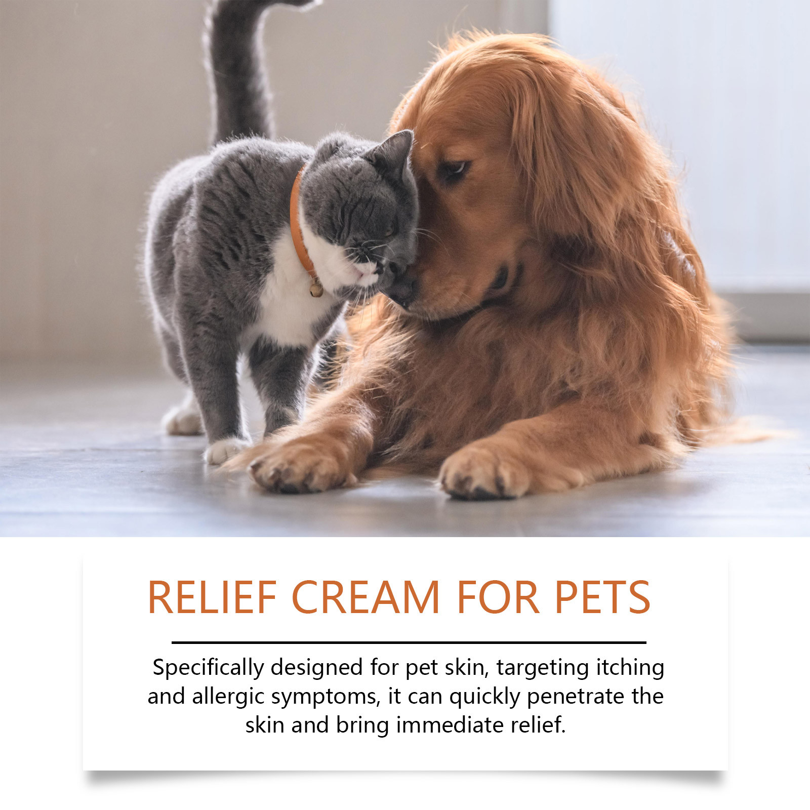 New Pet Antiprurito Crema Anti - Skincare Animate recensione e prezzo